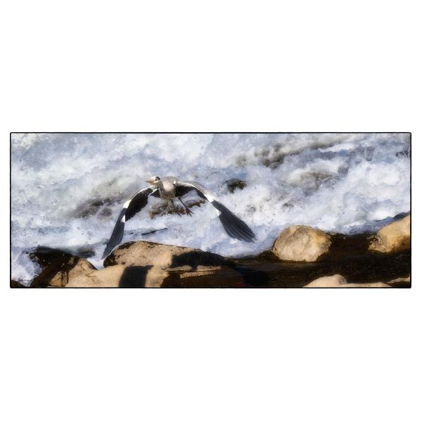 PHOTO84, CLUB, 84 , LUBERON